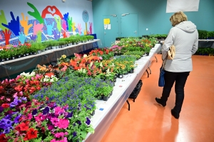 Lapte : le marché aux fleurs, aux plants de légumes et créations artisanales est en place à &quot;Verne&quot;