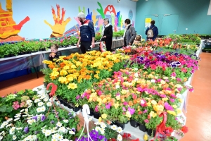 Lapte : le marché aux fleurs, aux plants de légumes et créations artisanales est en place à &quot;Verne&quot;