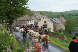 Crédit AOP Fin Gras du Mézenc