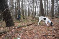 Chasse : la finale nationale de chien de pied ce week-end à Dunières