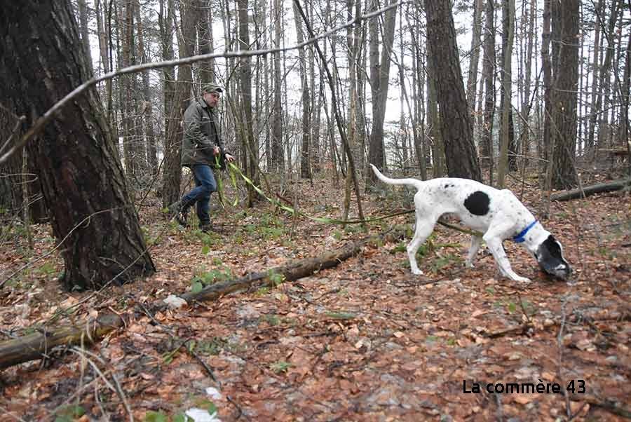 Chasse la finale nationale de chien de pied  ce week end 