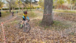 Cyclisme : le Vélo Club du Velay victorieux au cyclo-cross de Cournon d&#039;Auvergne