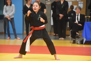 Viet vo dao : 53 enfants au tournoi des jeunes dragons à Yssingeaux