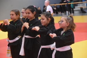 Viet vo dao : 53 enfants au tournoi des jeunes dragons à Yssingeaux