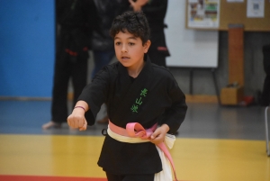 Viet vo dao : 53 enfants au tournoi des jeunes dragons à Yssingeaux