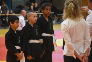 Viet vo dao : 53 enfants au tournoi des jeunes dragons à Yssingeaux