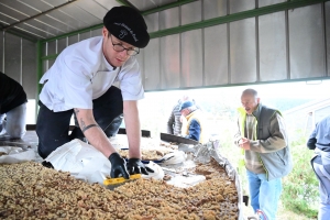 Saint-Bonnet-le-Froid : 1000 parts découpées sur la tarte XXL à la châtaigne