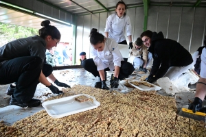 Saint-Bonnet-le-Froid : 1000 parts découpées sur la tarte XXL à la châtaigne