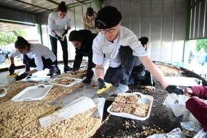 Saint-Bonnet-le-Froid : 1000 parts découpées sur la tarte XXL à la châtaigne