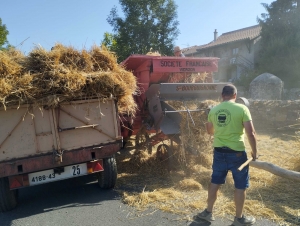 Saint-Maurice-de-Lignon : des moissons à l&#039;ancienne pour la fête de &quot;Loucéa&quot;