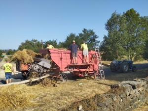 Saint-Maurice-de-Lignon : des moissons à l&#039;ancienne pour la fête de &quot;Loucéa&quot;