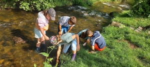 Yssingeaux : les écoliers de Jean-de-la-Fontaine à la rencontre de la rivière la Siaulme