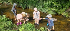 Yssingeaux : les écoliers de Jean-de-la-Fontaine à la rencontre de la rivière la Siaulme