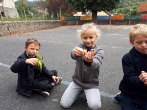 Retournac : les écoliers d&#039;Arc-en-Ciel ont pratiqué pour la Semaine du goût