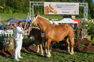 Troisième place pour Colchique des Aiglets de Sébastien Chambon. Photo Jack Varlet