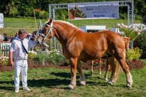 Prix de Championnat Jeune pour Follette des Rouches de Geneviève Barrière. Photo Jack Varlet