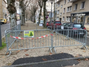 Bas-en-Basset : un espace de stockage en ville pour les sapins de Noël