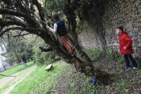 Saint-Maurice-de-Lignon : le parc de Maubourg se transforme en poulailler géant