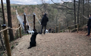 Passerelle himalayenne des gorges du Lignon : des chiffres de fréquentation vertigineux