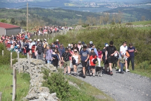 Le Monastier-sur-Gazeille : un troupeau de 50 brebis Noire du Velay suivi par 400 randonneurs