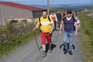 Le Monastier-sur-Gazeille : un troupeau de 50 brebis Noire du Velay suivi par 400 randonneurs