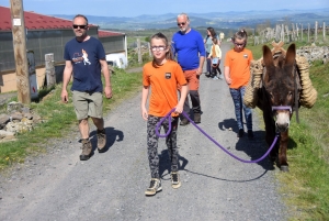 Le Monastier-sur-Gazeille : un troupeau de 50 brebis Noire du Velay suivi par 400 randonneurs