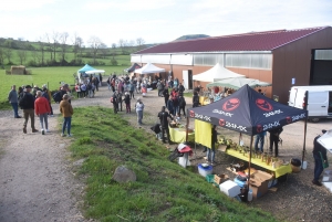 Le Monastier-sur-Gazeille : un troupeau de 50 brebis Noire du Velay suivi par 400 randonneurs