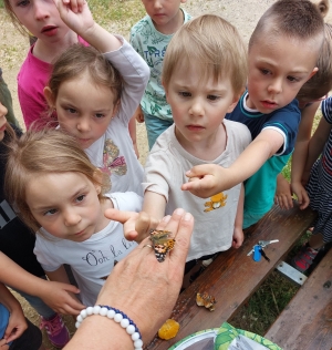 Fin d’année riche pour les élèves de l’école Saint-Joseph de Saint-Romain-Lachalm