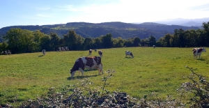 Les Villettes : les écoliers font un P&#039;tit tour à pied à Blanzac