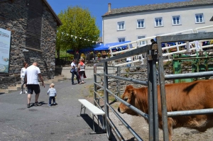 Le public au rendez-vous de la Fête du Fin Gras du Mézenc