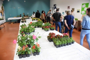 Lapte : le marché de produits locaux, plants de légumes et fleurs se poursuit dimanche à &quot;Verne&quot;