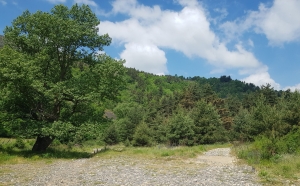 Crédit CEN Auvergne