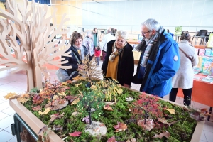 Sainte-Sigolène : 1500 livres en expo-vente ce week-end à la salle polyvalente