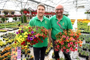 Le conseil du jardinier : privilégiez les fleurs jaunes pour les insectes pollinisateurs