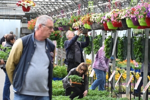 Le conseil du jardinier : privilégiez les fleurs jaunes pour les insectes pollinisateurs