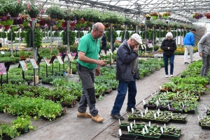 Le conseil du jardinier : privilégiez les fleurs jaunes pour les insectes pollinisateurs