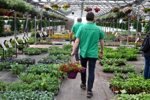 Le conseil du jardinier : privilégiez les fleurs jaunes pour les insectes pollinisateurs