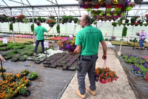 Le conseil du jardinier : privilégiez les fleurs jaunes pour les insectes pollinisateurs