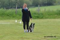 Yssingeaux : un concours d&#039;obéissance canine en mai au &quot;Chausse&quot;