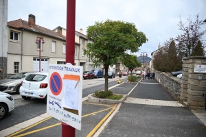 Yssingeaux : les arbres changés avant les lampes dans l&#039;avenue Clemenceau