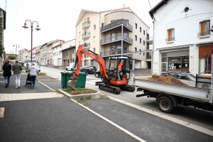 Yssingeaux : les arbres changés avant les lampes dans l&#039;avenue Clemenceau