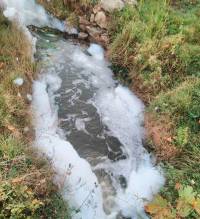 Sainte-Sigolène : de la mousse en abondance dans le ruisseau des Taillas