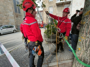 Sainte-Sigolène : une grande fête pour les 100 ans des pompiers