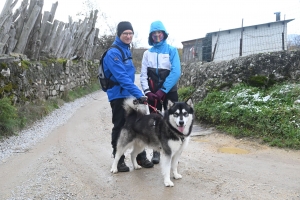 Beauzac : 50 marcheurs accompagnés de chiens à la première cani-rando