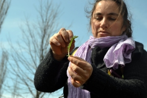 Magali Dupuy, animatrice nature