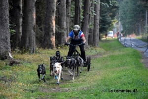 Saint-Front : les mushers attendus de patte ferme ce week-end sur la terre