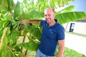 Il fait pousser des bananes... à Monistrol-sur-Loire