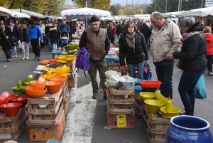 Bas-en-Basset : vous trouverez de tout à la Foire aux ânes le 11 novembre