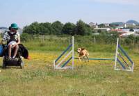 Club canin des sucs : une action auprès des jeunes en situation de handicap