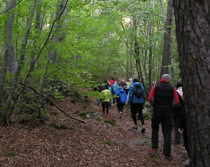 Roche-en-Régnier : une randonnée de 10 km le 30 janvier